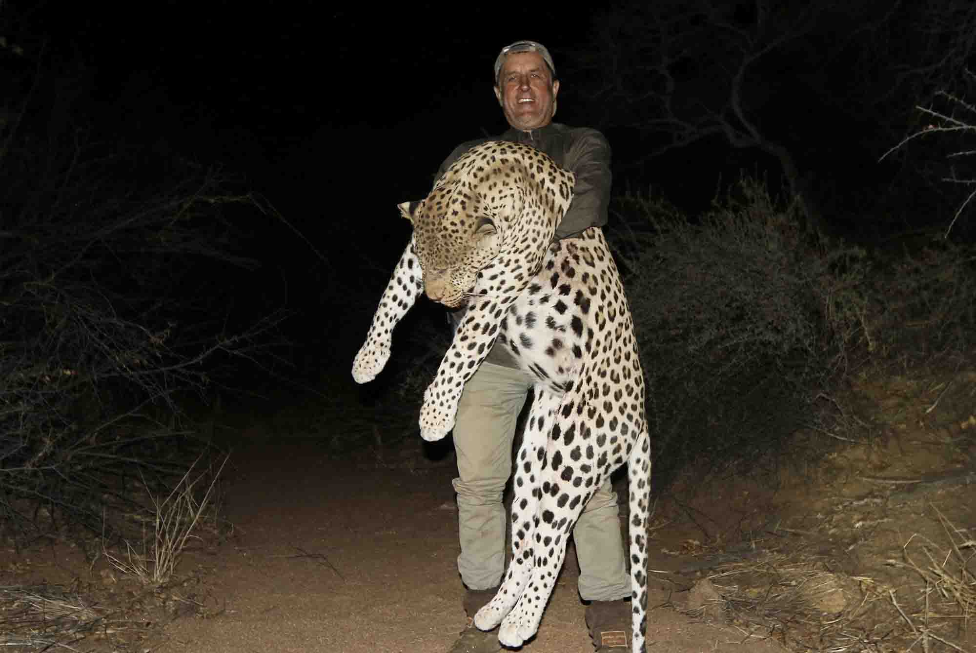 Leopardo medžioklė Namibijoje