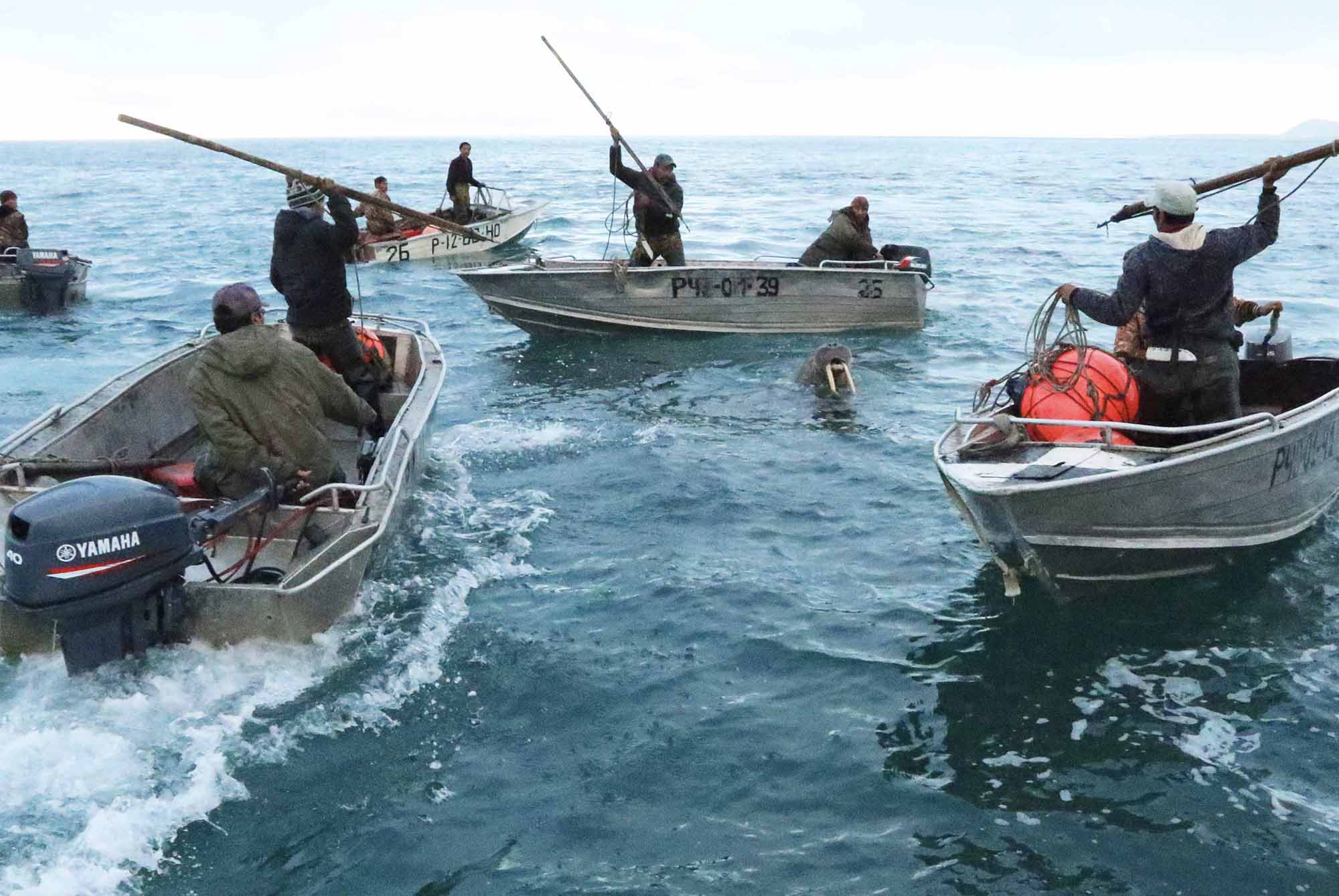 Beringo jūros medžiotojai
